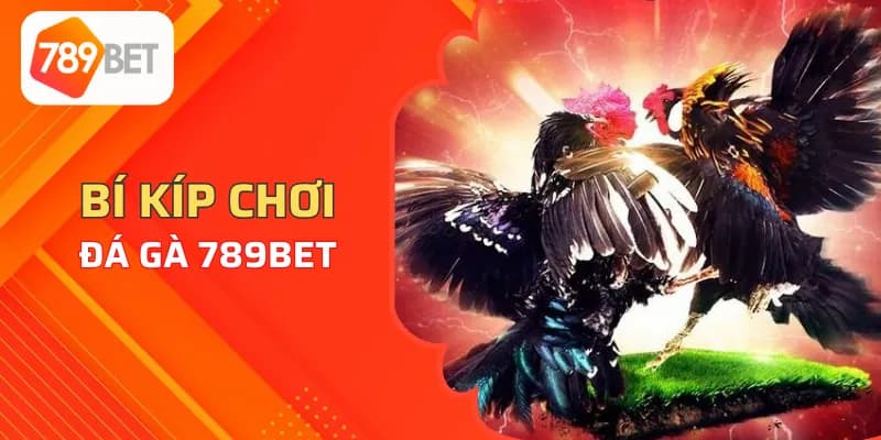 Bí kíp chơi cược đá gà 789Bet luôn thắng