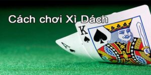 chơi xì dách online