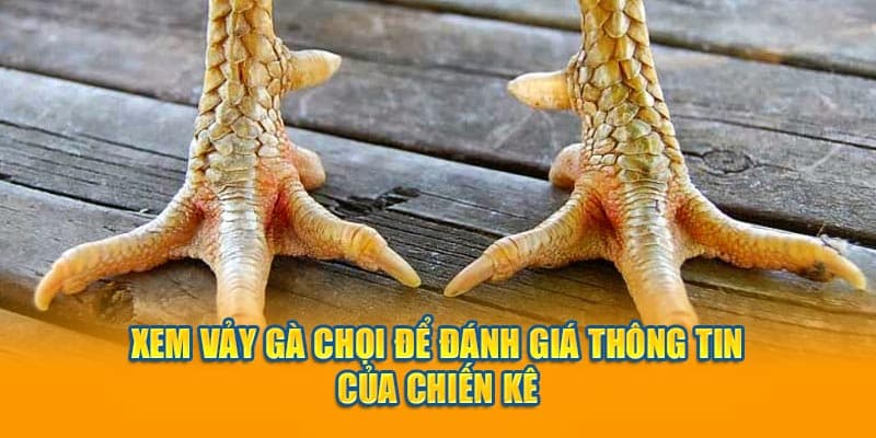 Cách chọn vảy gà thần kê chuẩn xác nhất