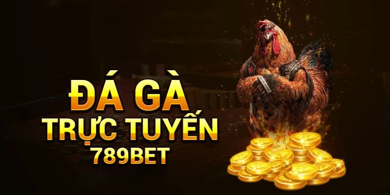 Giới thiệu sảnh cược đá gà 789Bet