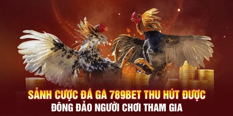 Ưu điểm khi chơi cá cược đá gà tại 789Bet