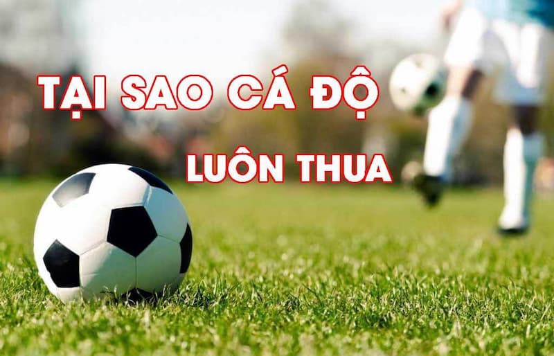 Vì Sao Cá Độ Bóng Đá Luôn Thua Và Các Mẹo Để Thắng