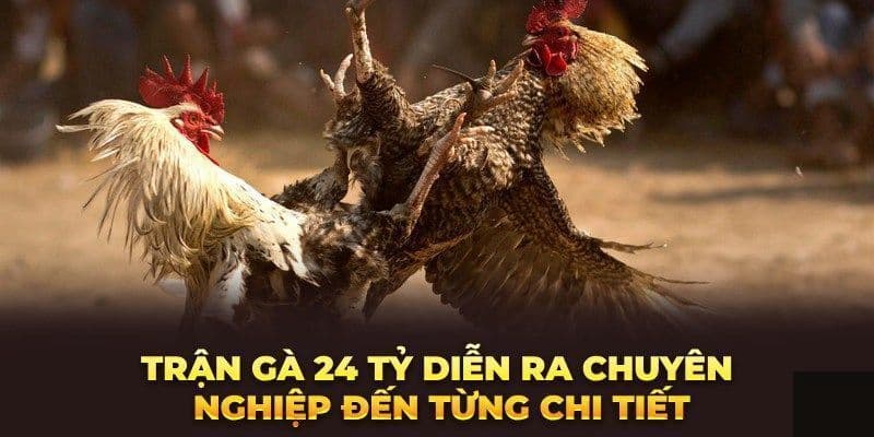 Trận đá gà 24 tỷ đã làm nên huyền thoại một thời