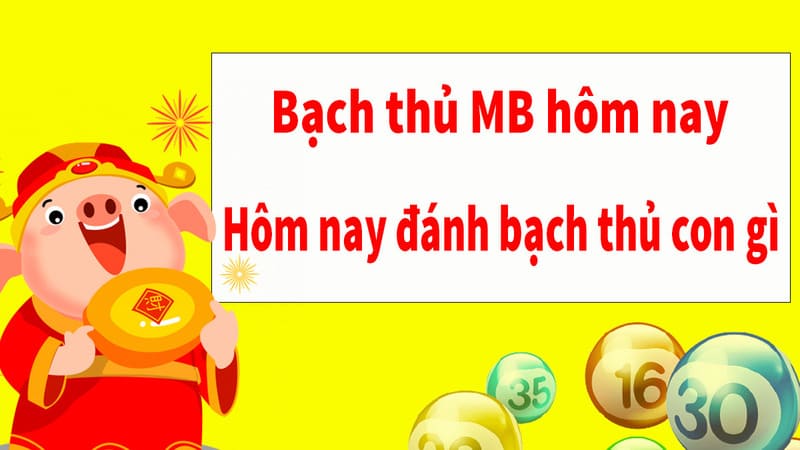 soi cầu bạch thủ lô