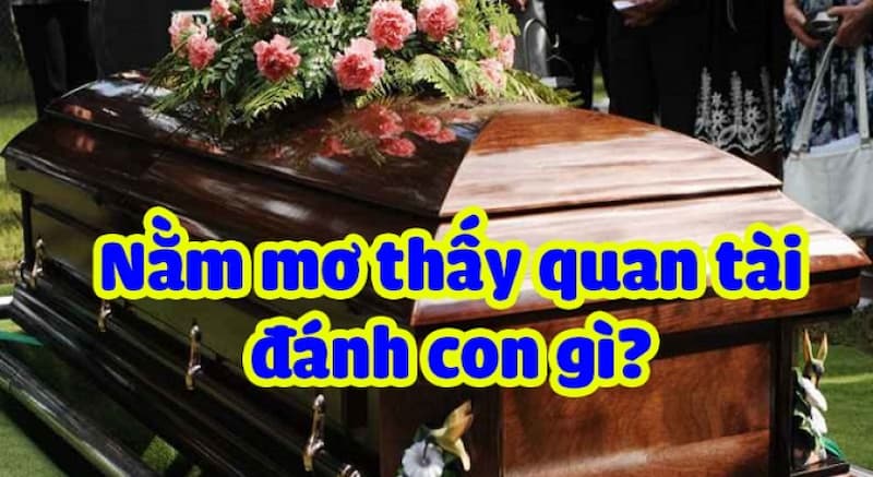 Nằm Mơ Thấy Quan Tài Đánh Số Mấy Và Giải Mã Các Giấc Mơ