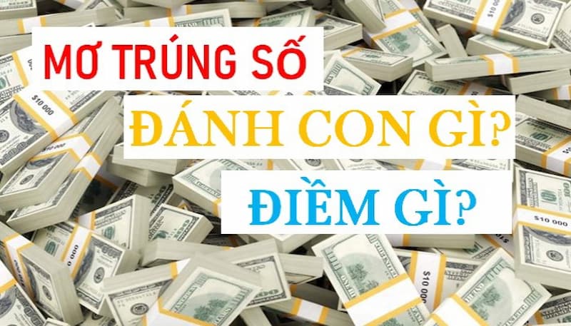 Đáp Án Cho Câu Hỏi Nằm Mơ Thấy Trúng Số Đánh Con Gì